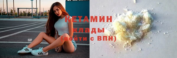 шишки Няндома
