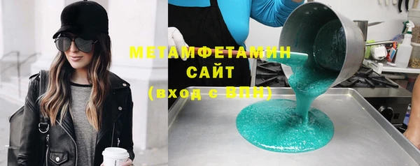 шишки Няндома