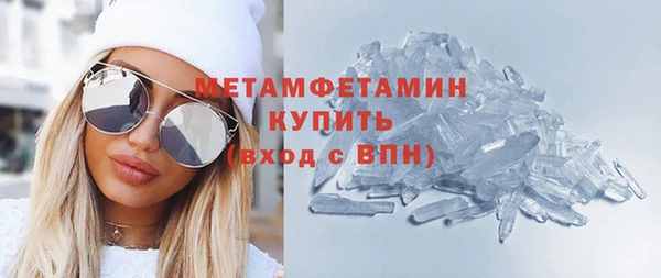 шишки Няндома