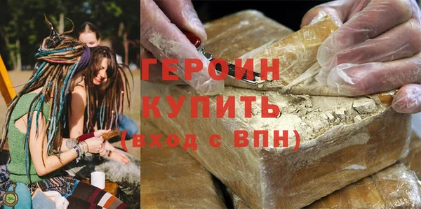 шишки Няндома