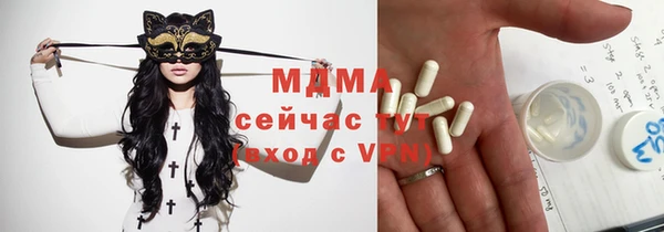 шишки Няндома