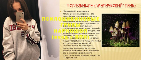СК Богородск