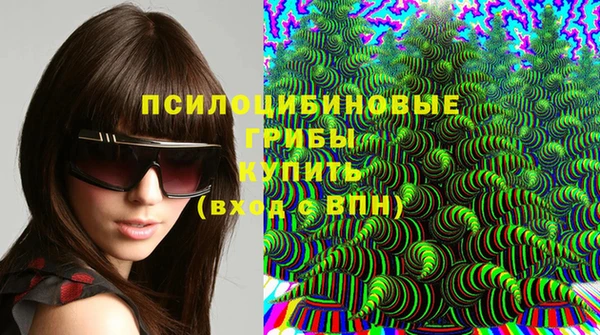 герыч Богородицк